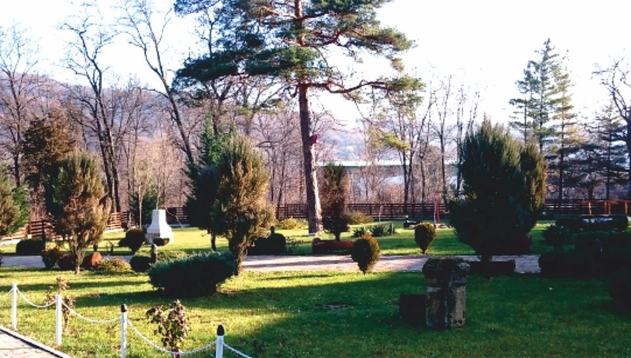 Hotel Spa Cazino Monteoru Sărata-Monteoru Exteriér fotografie